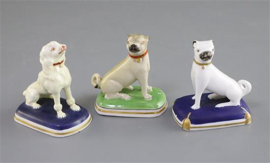 Three Chamberlains Worcester porcelain figures comprising two pugs and a poodle, c.1820-40, H. 6.7cm - 7cm